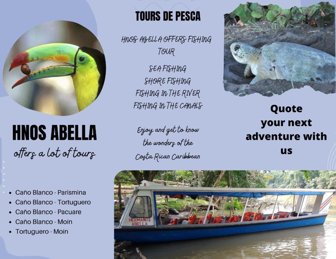 Sleep&Go! Cabina Cuadruple En Siquirres Centro - And Rafting Tour! Siqurres Da Alegria Exteriör bild
